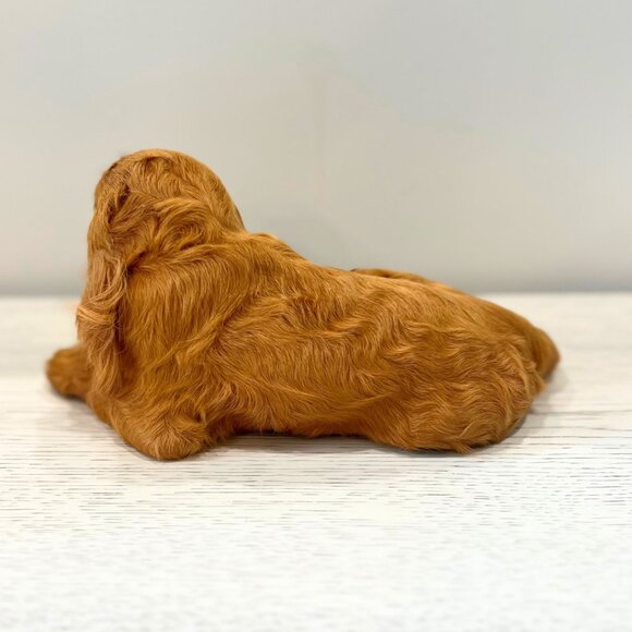 Vintage Real Goat Fur Cocker Spaniel Dog Statue Mid Century Kitsch Collectable - Picture 5 of 9